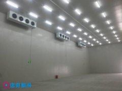 500噸生鮮冰鮮冷庫建造費用是多少