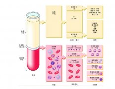 -30℃～-80℃血漿蛋白低溫冷凍庫規范，冷庫安裝價格